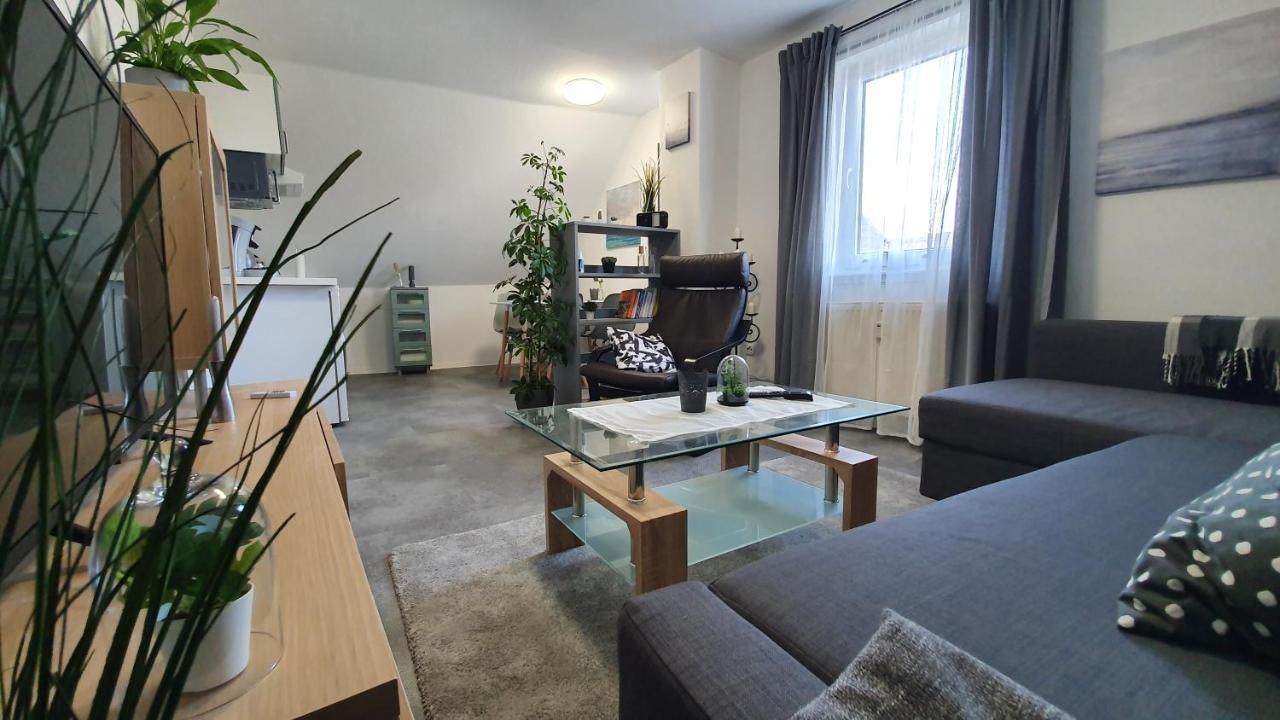 Ferienwohnung Elsa Hungen Exterior photo